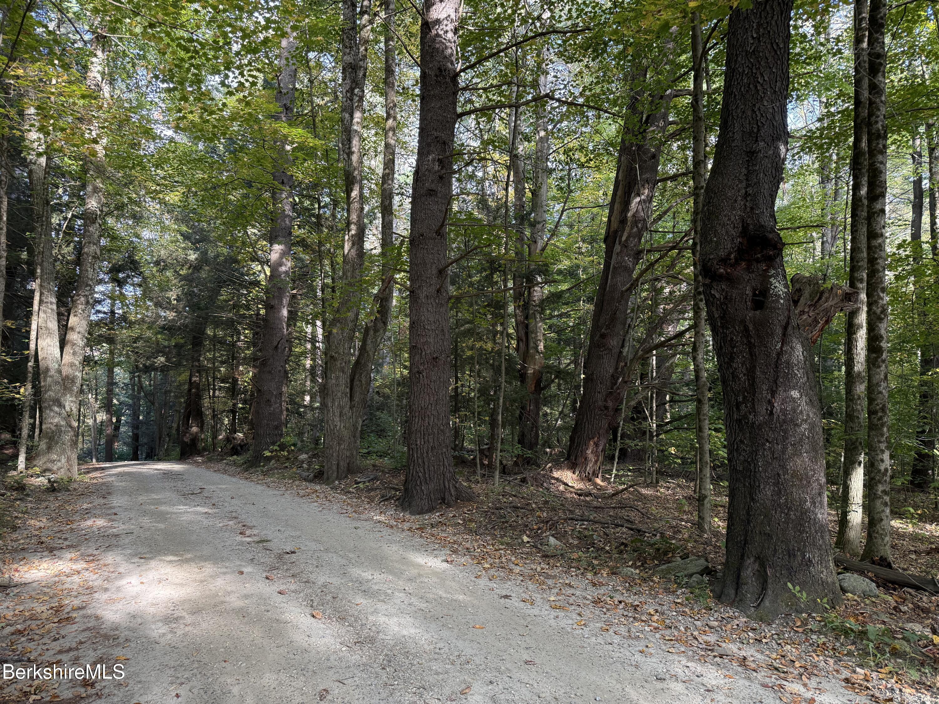 0 Gould Road Monterey, MA 01245 - Photo 4 of 11 a view of outdoor space with lots of trees