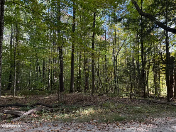 a view of outdoor space and trees