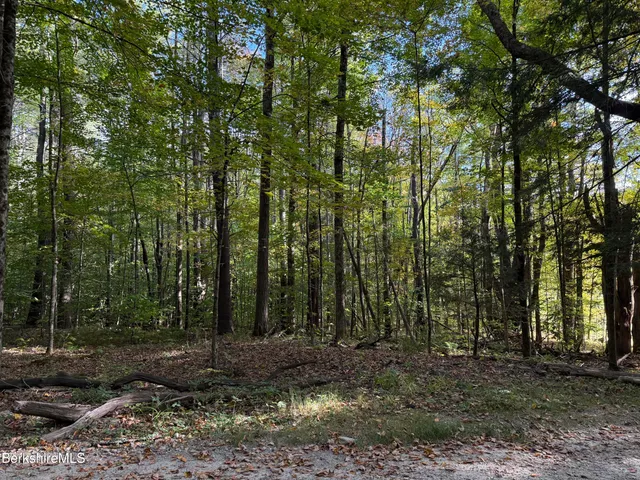 a view of outdoor space and trees