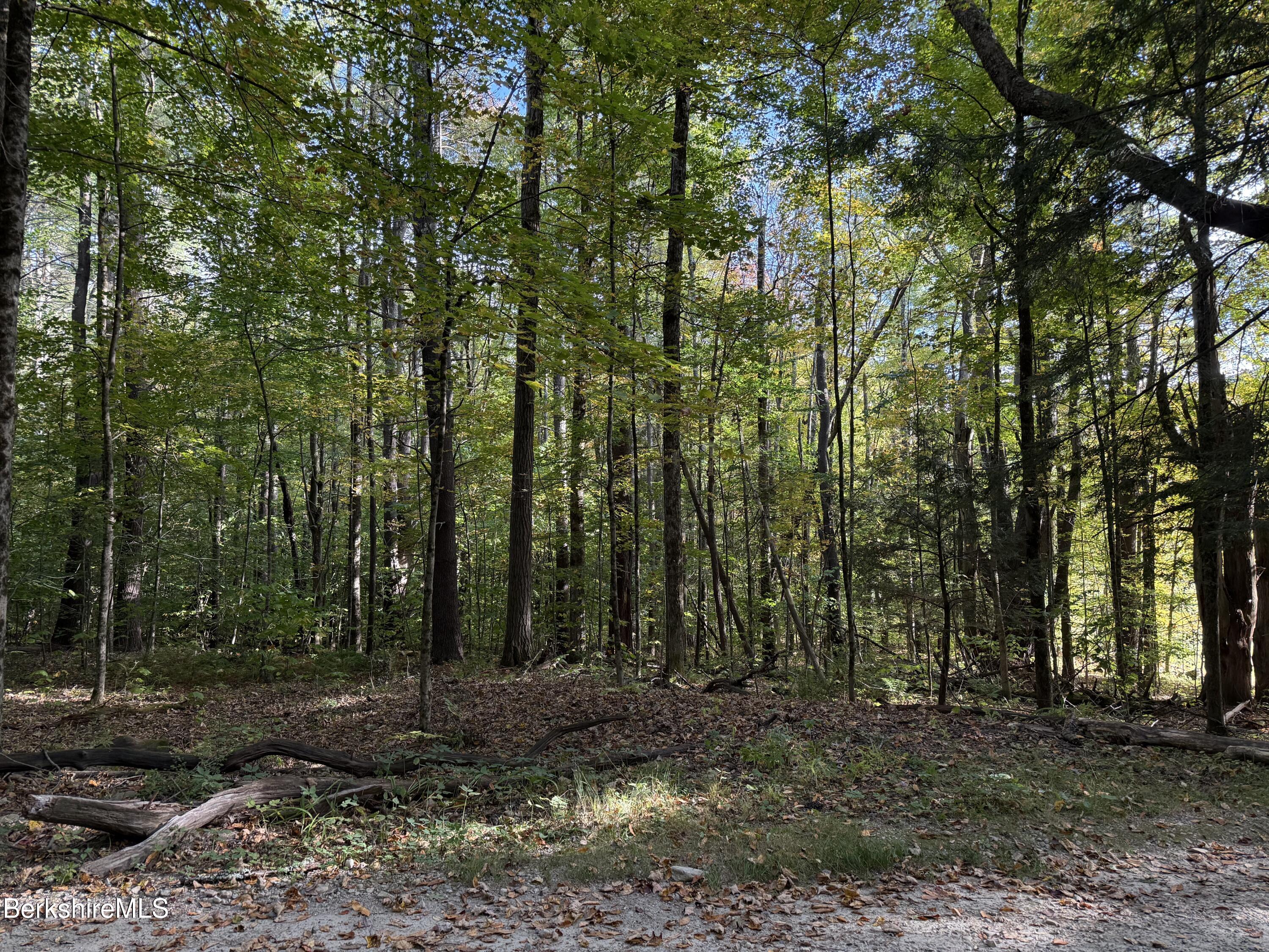 0 Gould Road Monterey, MA 01245 - Photo 5 of 11 a view of outdoor space and trees