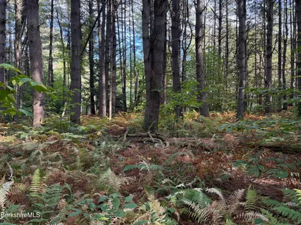 a view of outdoor space and trees