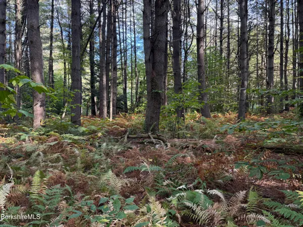 a view of outdoor space and trees