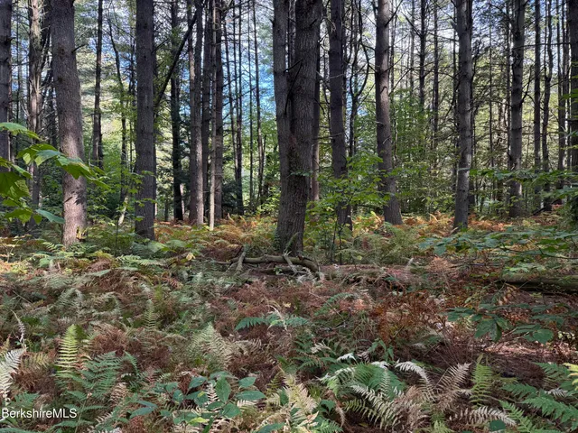 a view of outdoor space and trees
