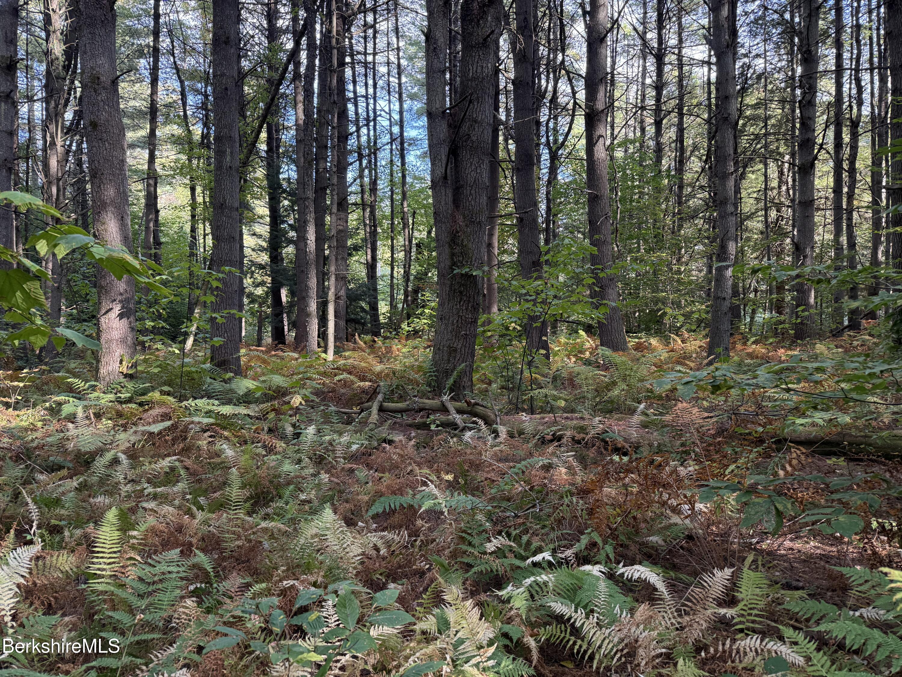 0 Gould Road Monterey, MA 01245 - Photo 6 of 11 a view of outdoor space and trees