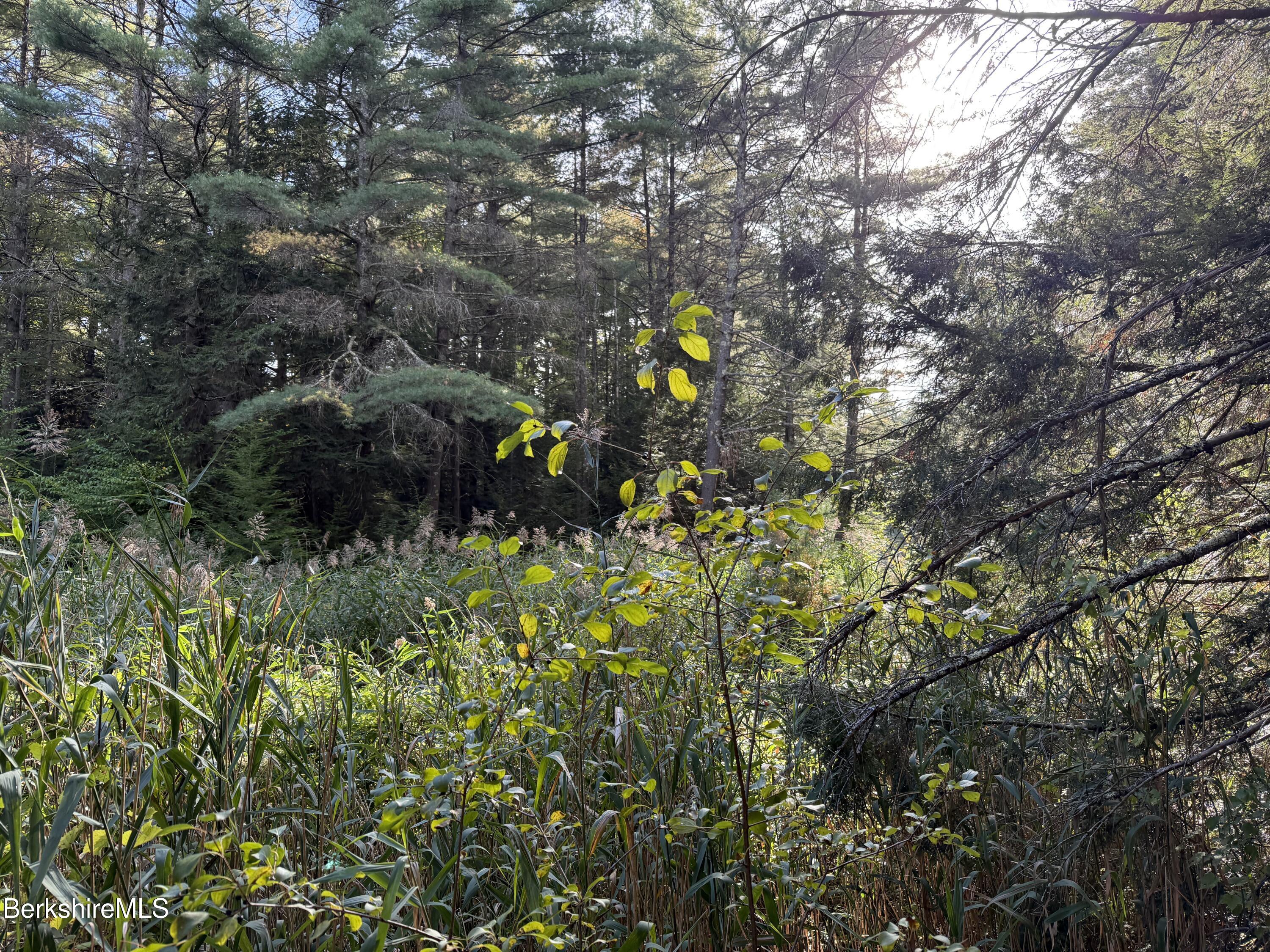 0 Gould Road Monterey, MA 01245 - Photo 7 of 11