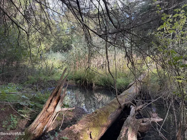 a view of lake view and mountain