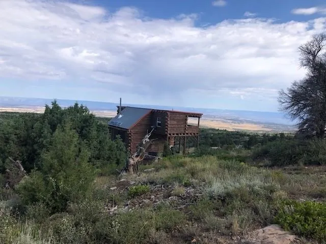a view of a dry yard with trees