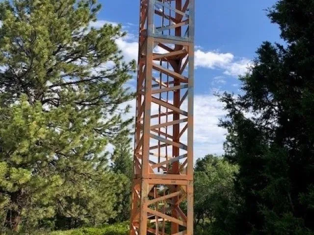 a fire hydrant in the middle of a forest