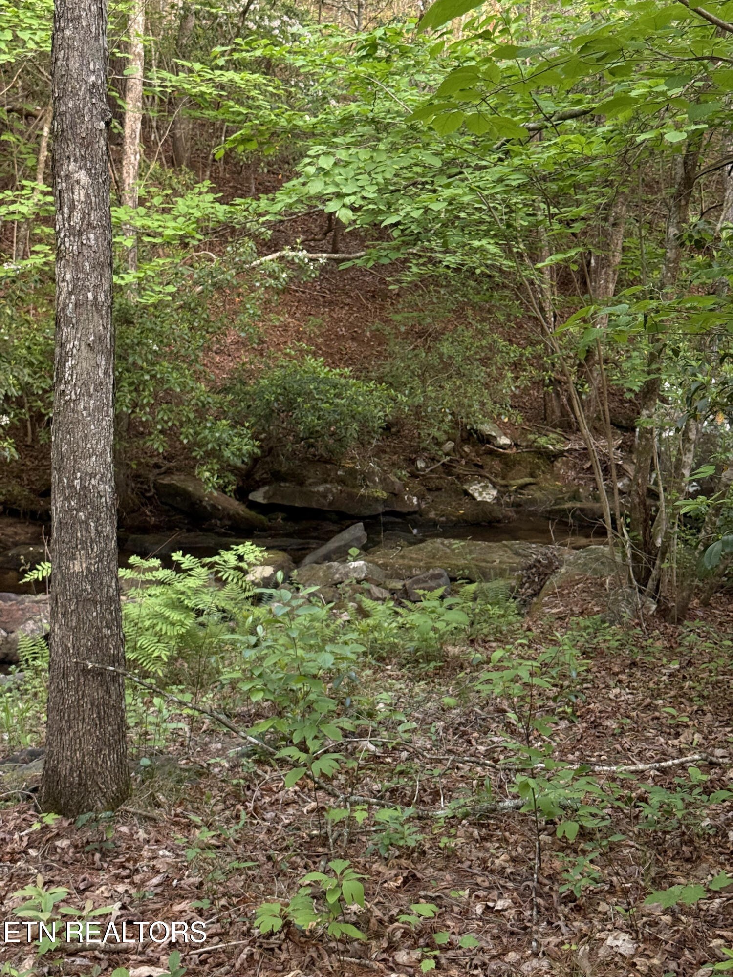 0 Genesis Road Crossville, TN 38555 - Photo 10 of 15