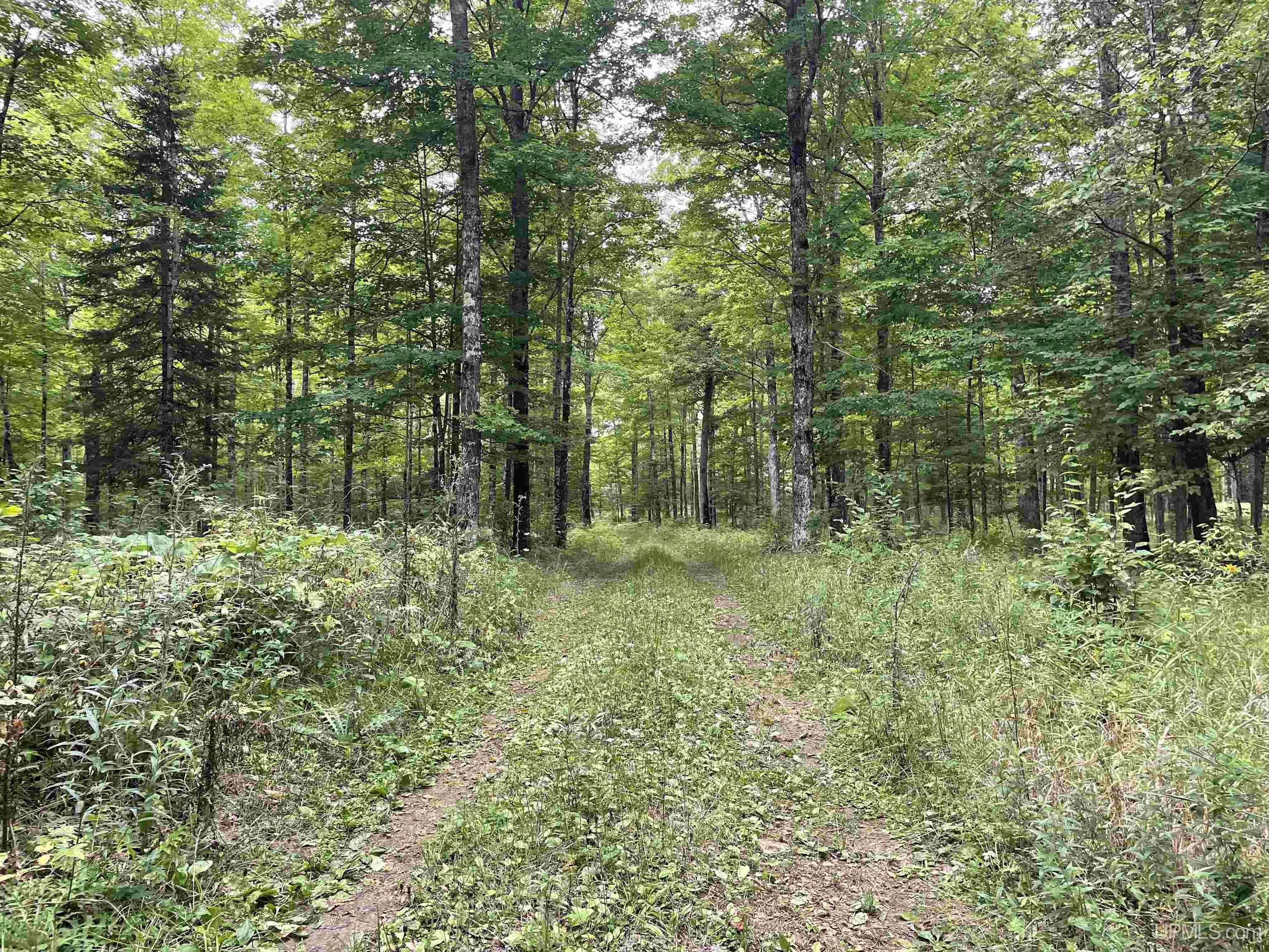 Tbd Tbd County Road, Unit 1 Cornell, MI 49818 - Photo 19 of 41