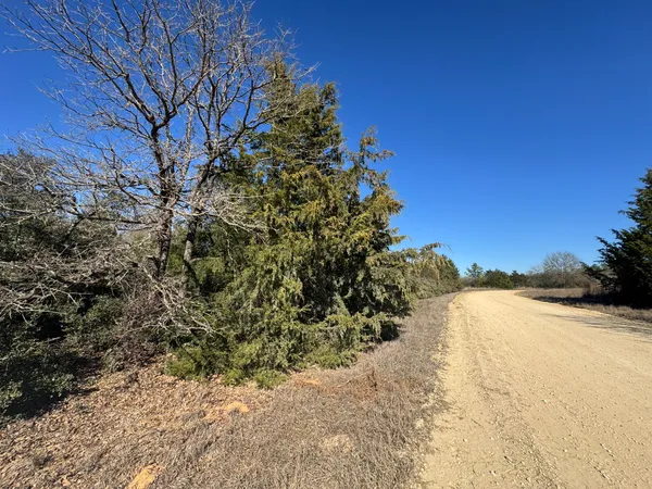 a view of a yard with a tree