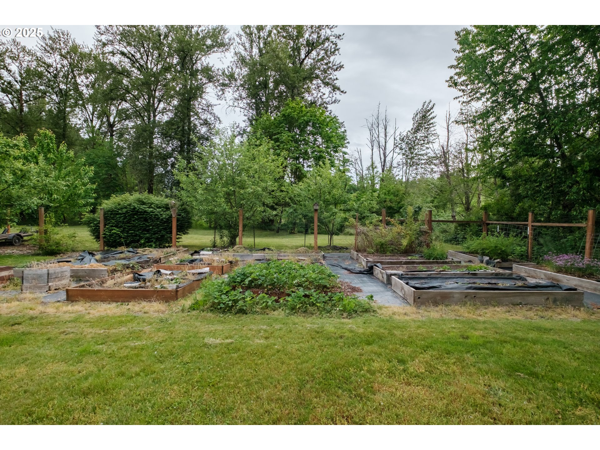 40325 Upper Calapooia Drive Sweet Home, OR 97386 - Photo 33 of 42 a view of backyard with a garden and outdoor seating