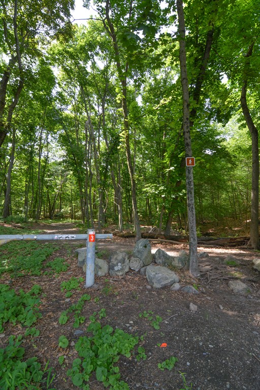 98 Ramshead Road Medford, MA 02155 - Photo 17 of 17 Gallery Image 17