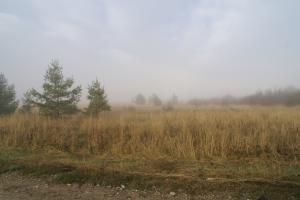 83 1 Mile Road Pickford, MI 49774 - Photo 12 of 15 Gallery Image 12