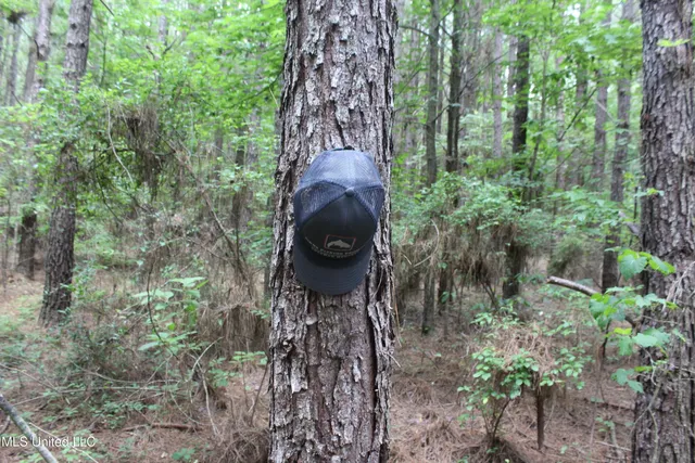 $138,000 | 550 Hwy Brookhaven Ms 39601, Wesson, MS 39191