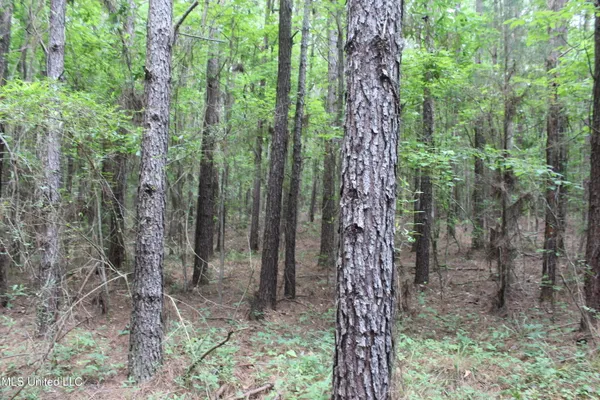 $138,000 | 550 Hwy Brookhaven Ms 39601, Wesson, MS 39191