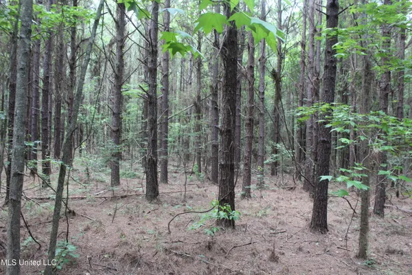 $138,000 | 550 Hwy Brookhaven Ms 39601, Wesson, MS 39191