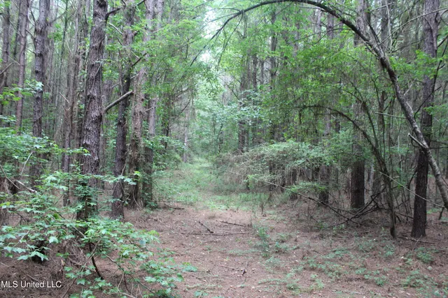 $138,000 | 550 Hwy Brookhaven Ms 39601, Wesson, MS 39191