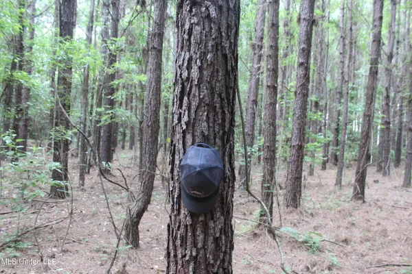 $138,000 | 550 Hwy Brookhaven Ms 39601, Wesson, MS 39191