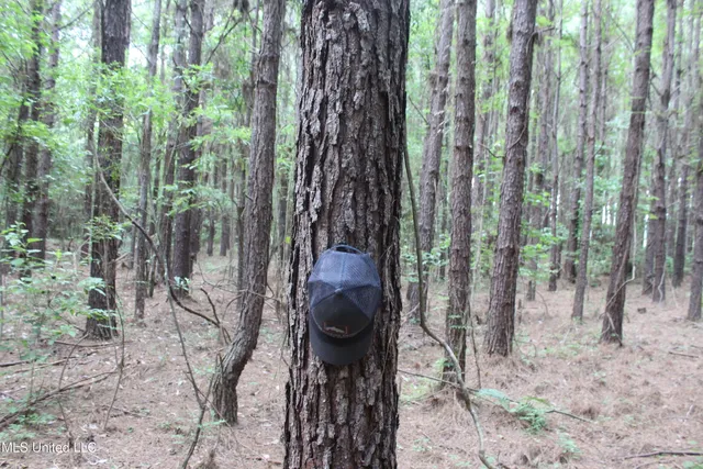 $138,000 | 550 Hwy Brookhaven Ms 39601, Wesson, MS 39191