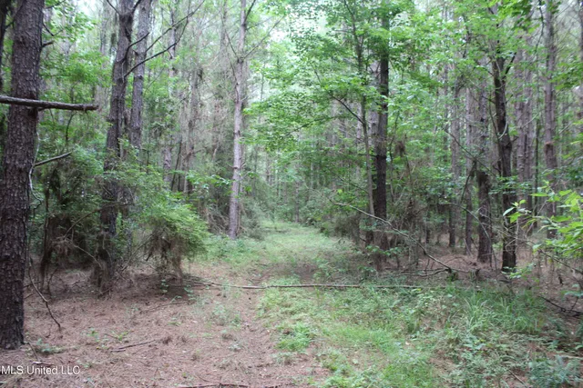 $138,000 | 550 Hwy Brookhaven Ms 39601, Wesson, MS 39191