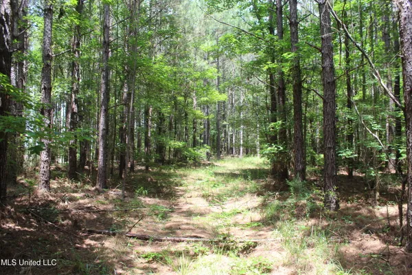 $138,000 | 550 Hwy Brookhaven Ms 39601, Wesson, MS 39191