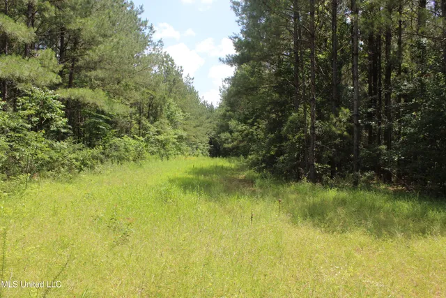 $138,000 | 550 Hwy Brookhaven Ms 39601, Wesson, MS 39191