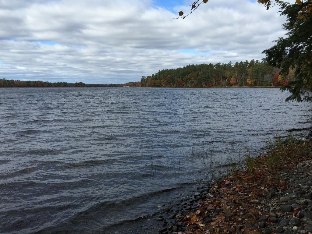 0 Nobleboro Road Bremen, ME 04551 - Photo 10 of 12 By the shoreline.