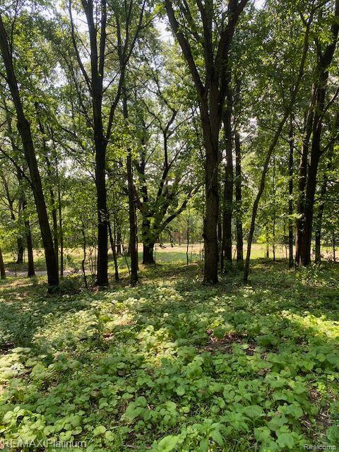 7 Sleaford-parcel 7 - 2 Acres Road Howell, MI 48843 - Photo 18 of 45