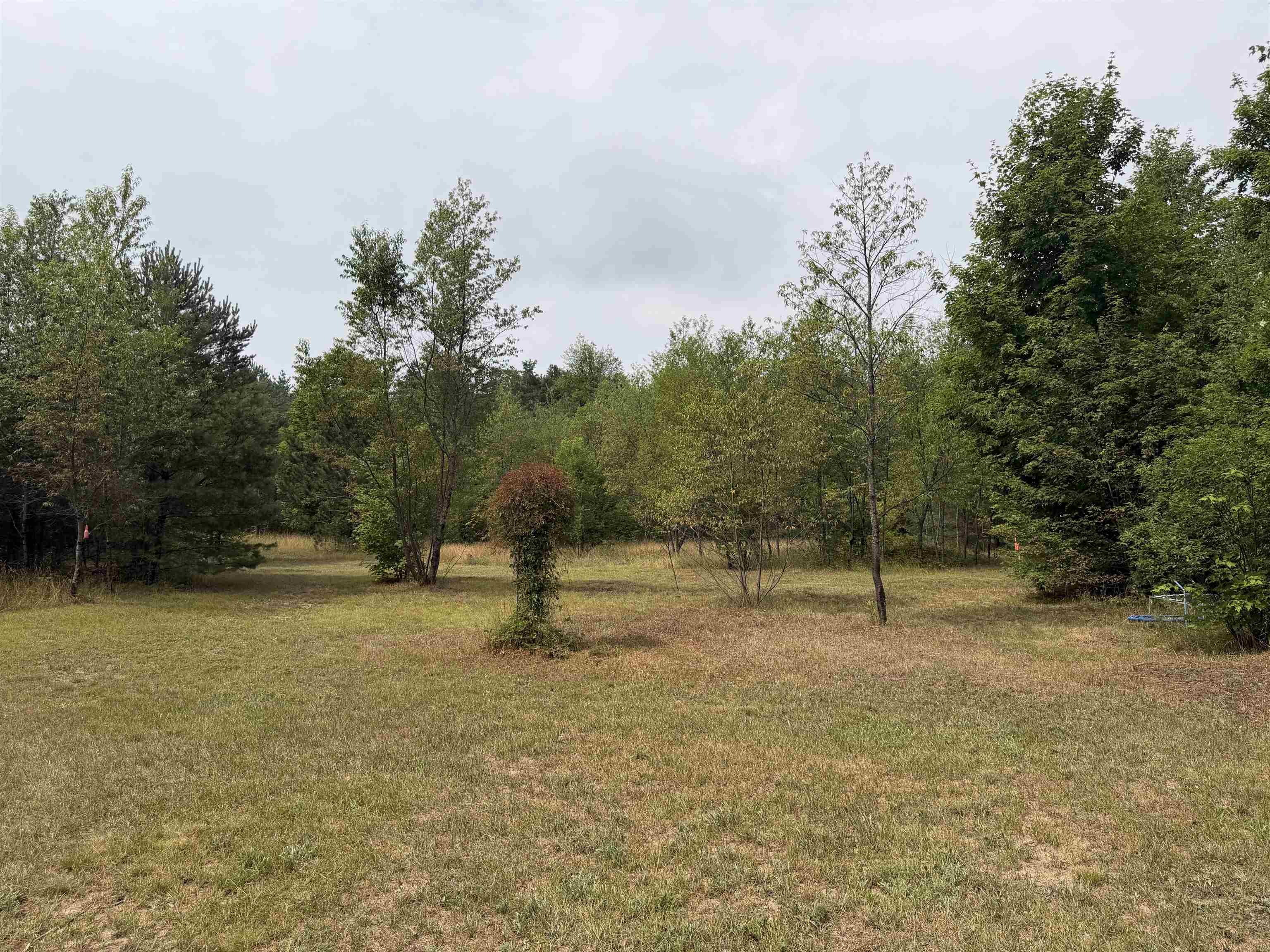 23567 Faylor Road Copemish, MI 49625 - Photo 19 of 34 1949000-7ba08378-8554-4012-b15a-f41b73d71af3.JPG