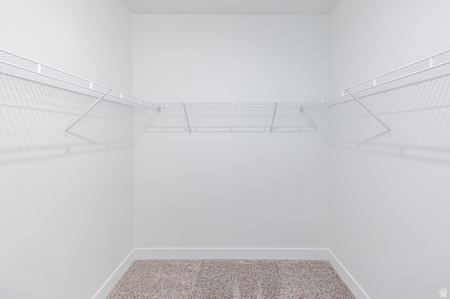 4662 Poplar Way, Unit Q303 Mapleton, UT 84664 - Photo 16 of 18 Walk in closet featuring light carpet