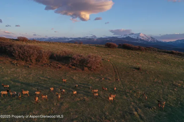 $12,995,000 | 100 County Road 100, Carbondale, CO 81623