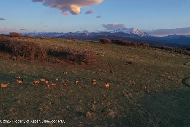 a view of a house with a mountain