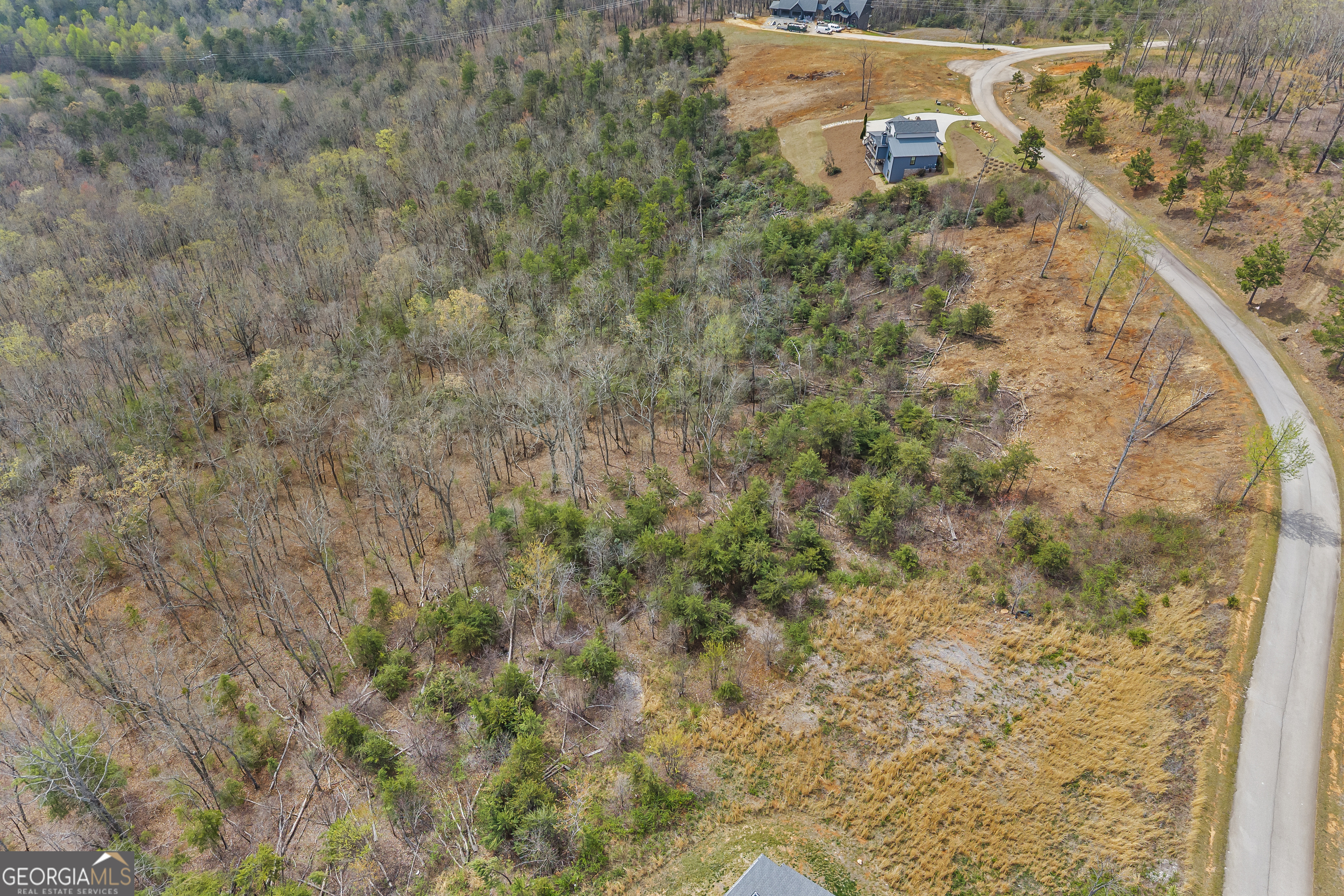 Lot 36 Mountain Ridge Drive Clarkesville, GA 30523 - Photo 41 of 53