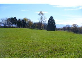 Lot 10 Garland Road, Unit 10 Limestone, TN 37681 - Photo 2 of 8 Photo 2