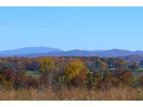 Lot 10 Garland Road, Unit 10 Limestone, TN 37681 - Photo 4 of 8 Photo 4