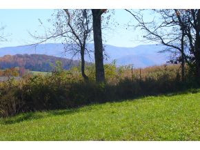 Lot 10 Garland Road, Unit 10 Limestone, TN 37681 - Photo 5 of 8 Photo 5