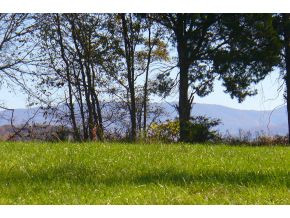 Lot 10 Garland Road, Unit 10 Limestone, TN 37681 - Photo 7 of 8 Photo 7