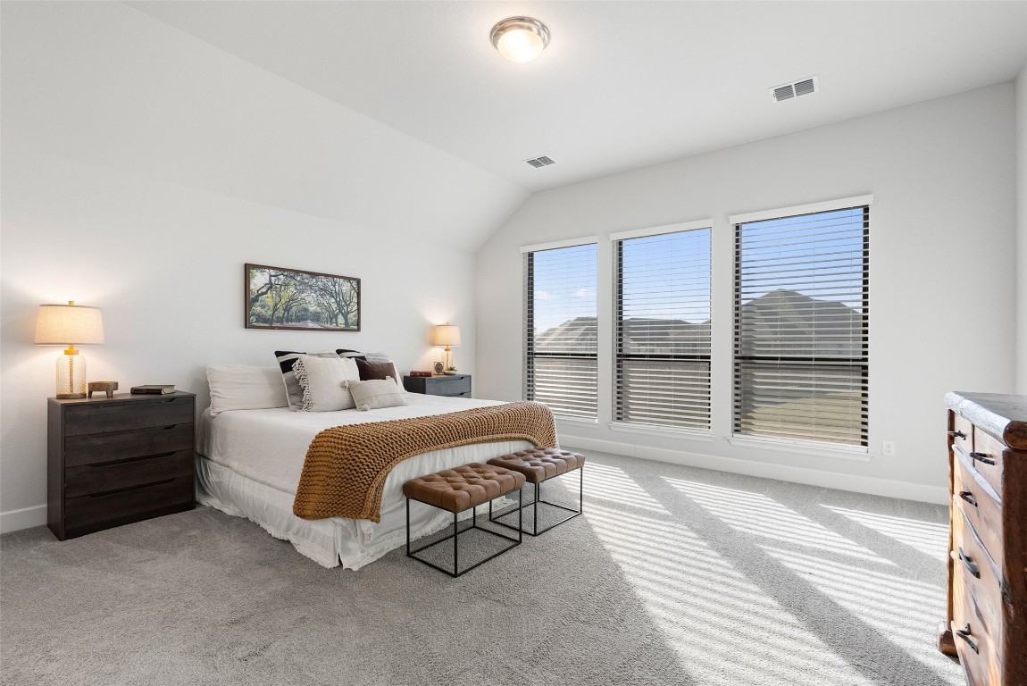 321 Allegheny Way Kyle, TX 78640 - Photo 7 of 40 Bedroom featuring light carpet and vaulted ceiling
