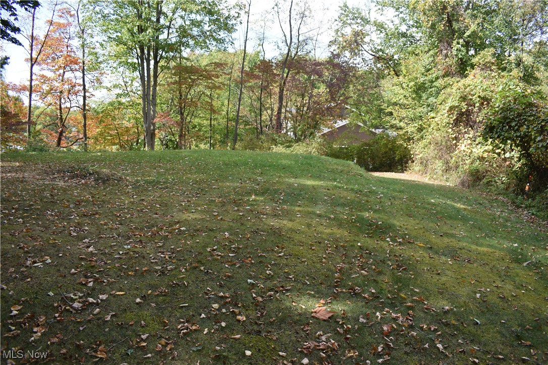 2785 Hayne Road Akron, OH 44312 - Photo 42 of 47 Gallery Image 42