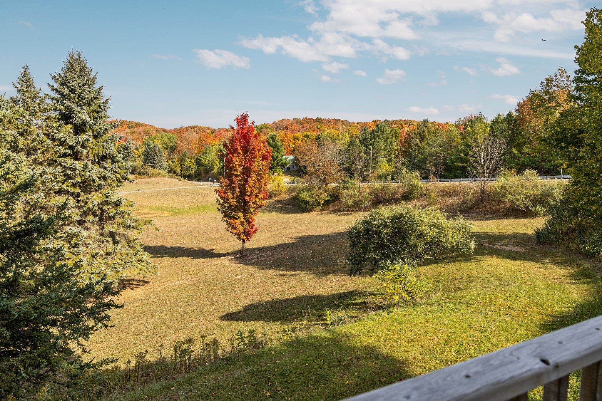 4525 Strait Road Traverse City, MI 49685 - Photo 50 of 67