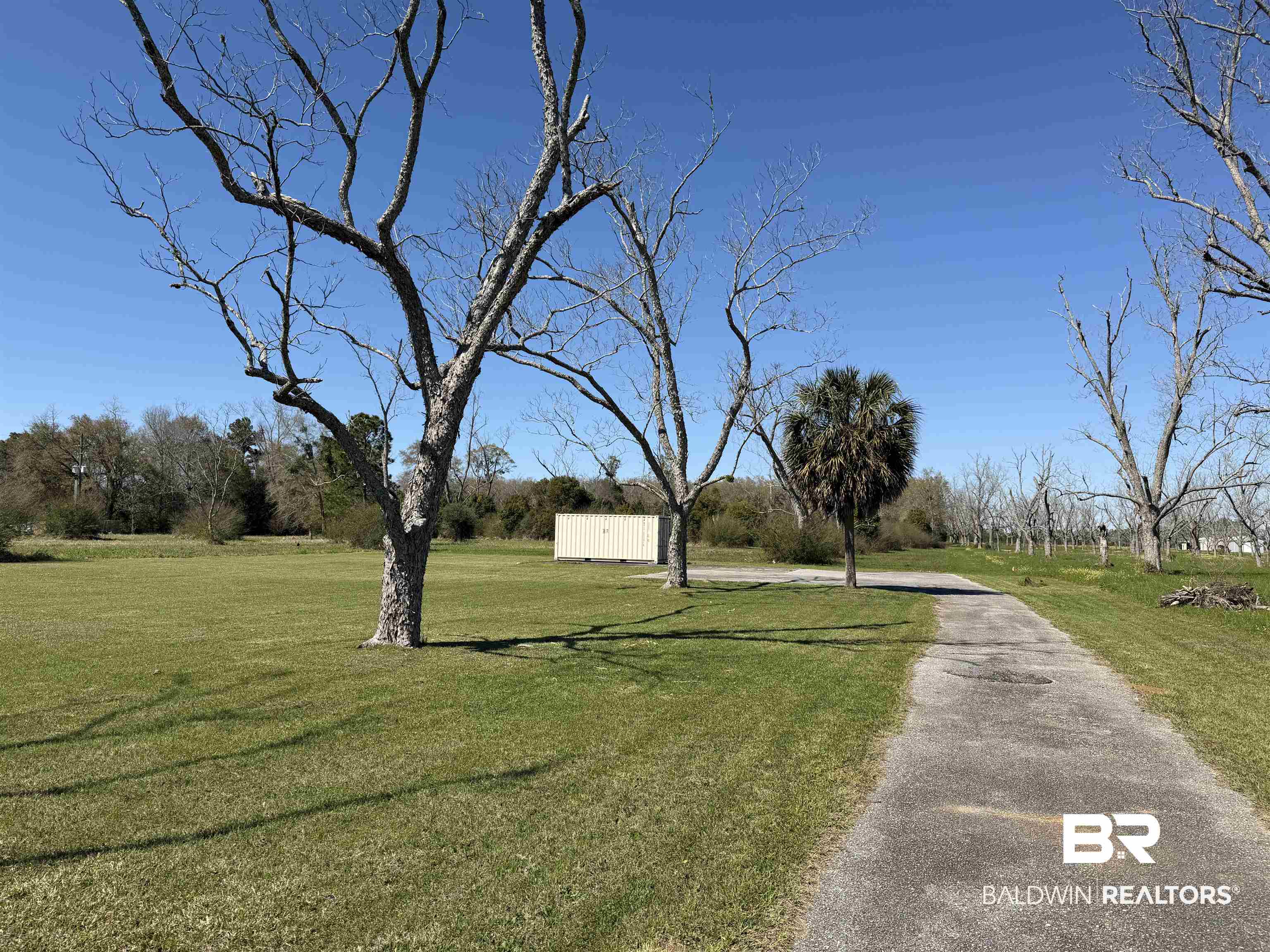 21815 Highway 98 Foley, AL 36535 - Photo 10 of 12 View of road