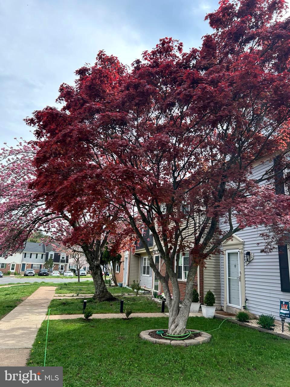 8596 Adamson Street Manassas, VA 20110 - Photo 2 of 5