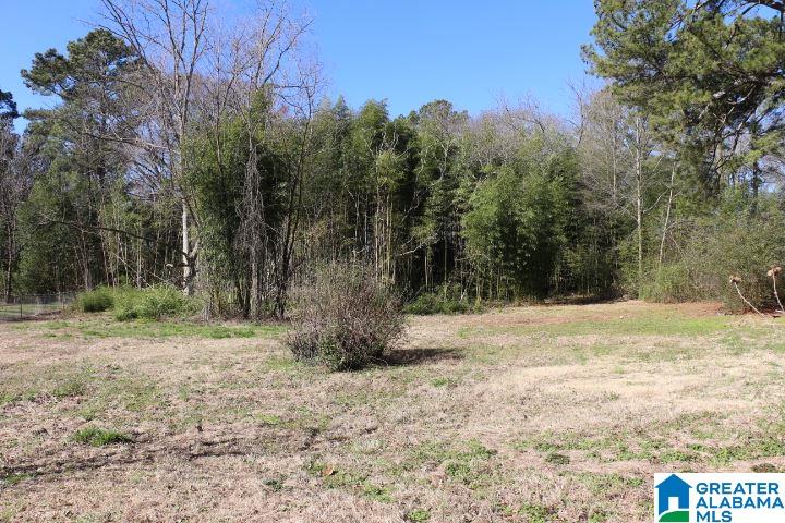130 Ora Road Weaver, AL 36277 - Photo 20 of 30