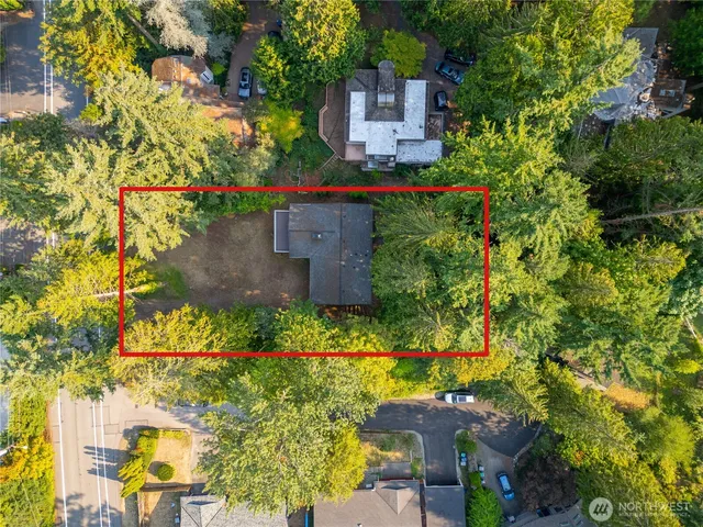 a picture of flowers