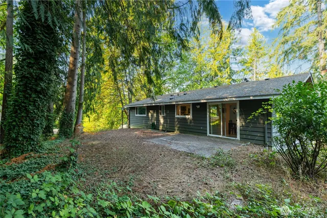 a view of a forest with trees in the background