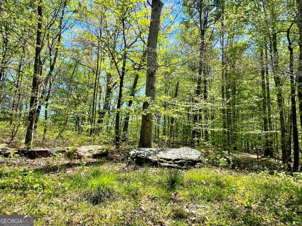 5808 Hensley Road Lula, GA 30554 - Photo 1 of 6