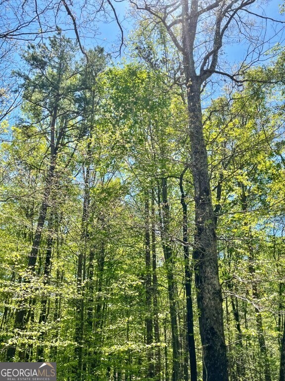 5808 Hensley Road Lula, GA 30554 - Photo 3 of 6