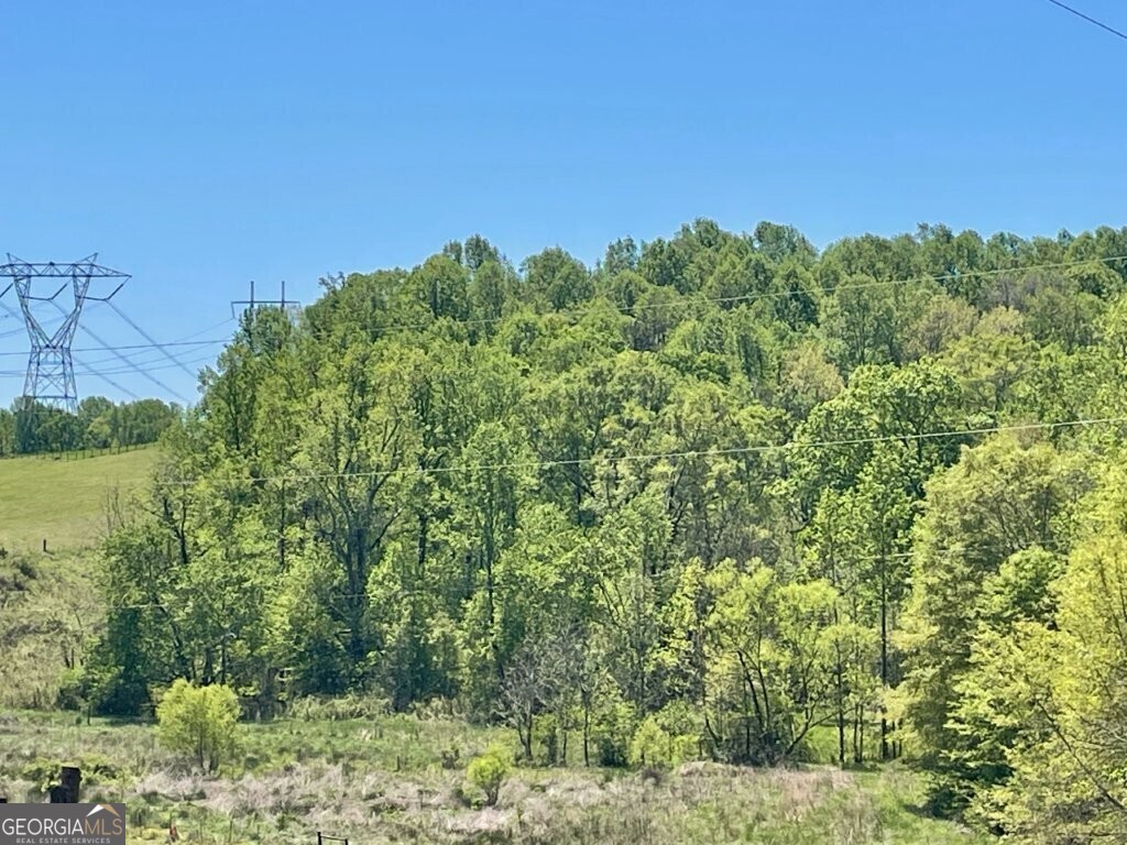 5808 Hensley Road Lula, GA 30554 - Photo 4 of 6