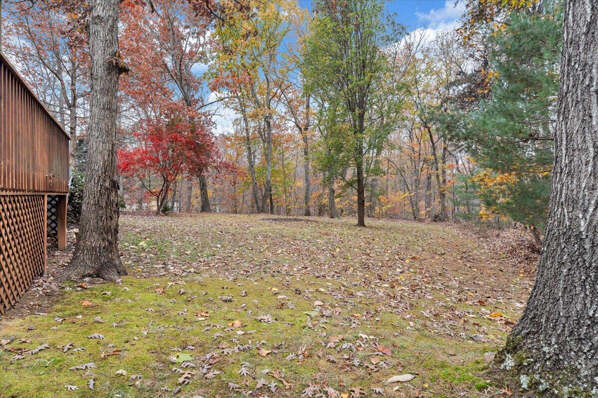 2161 Flint Hill Road Moneta, VA 24121 - Photo 39 of 50 38-MIB07091